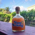 The Cocktail and Smoothie Wizard Bartenders Special Birthday Edition